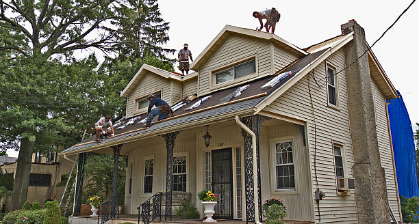 Best Shingle Roofing Installation  in Meriden, CT
