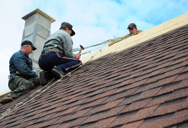 Best Storm Damage Roof Repair  in Meriden, CT